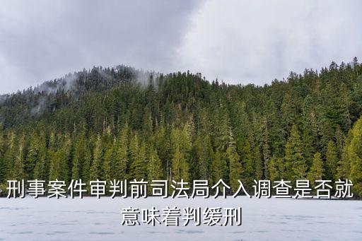 審前調(diào)查,社區(qū)矯正審前調(diào)查