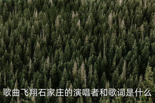 張廣瑞，不知道姓張加個廣張廣男孩起個什么樣的名字好聽
