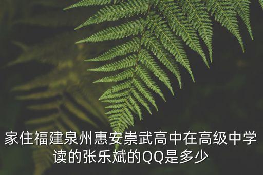 家住福建泉州惠安崇武高中在高級中學(xué)讀的張樂斌的QQ是多少