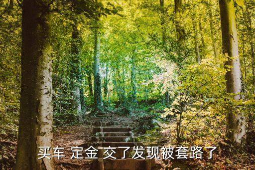 買車 定金 交了發(fā)現(xiàn)被套路了