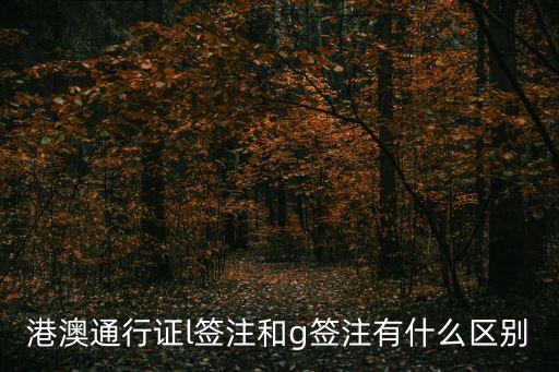 港澳通行證l簽注和g簽注有什么區(qū)別