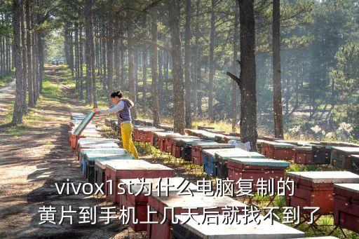 vivox1st為什么電腦復(fù)制的 黃片到手機上幾天后就找不到了