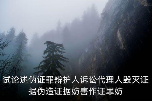 偽證罪，偽證罪是什么呢