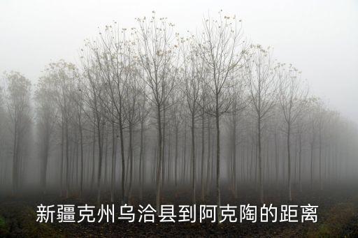 烏恰縣人民政府網