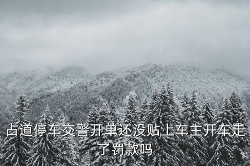 占道停車(chē)，機(jī)動(dòng)車(chē)占地?？? /></a><a href=