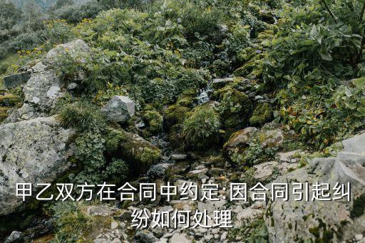 如有爭議雙方協(xié)商解決,管轄權(quán)發(fā)生爭議雙方協(xié)商不成