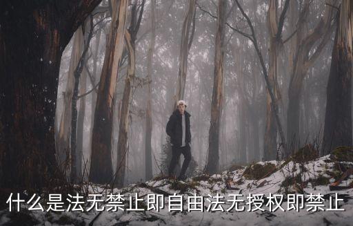 什么是法無(wú)禁止即自由法無(wú)授權(quán)即禁止