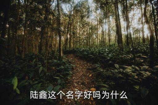 陸鑫，陸鑫的初吻在哪丟失的