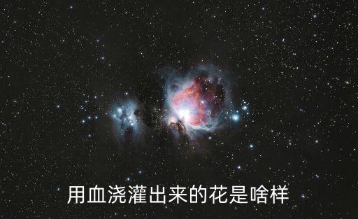 血漿澆花，用血澆灌出來的花是啥樣