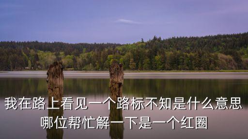 限速5公里標(biāo)志，我在路上看見一個(gè)路標(biāo)不知是什么意思哪位幫忙解一下是一個(gè)紅圈