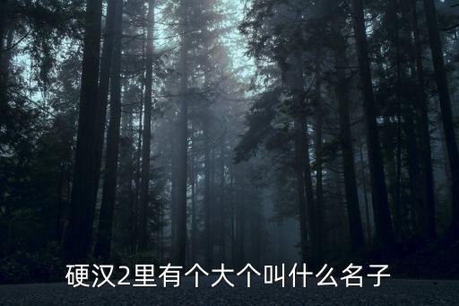 何永勝，幫我兒子娶個(gè)名字姓何
