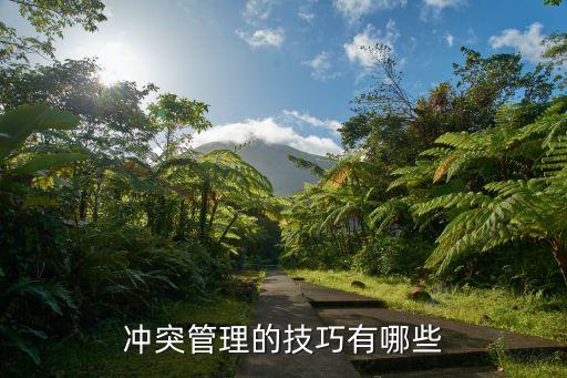 沖突管理的技巧有哪些