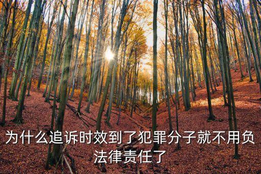 為什么追訴時效到了犯罪分子就不用負(fù)法律責(zé)任了
