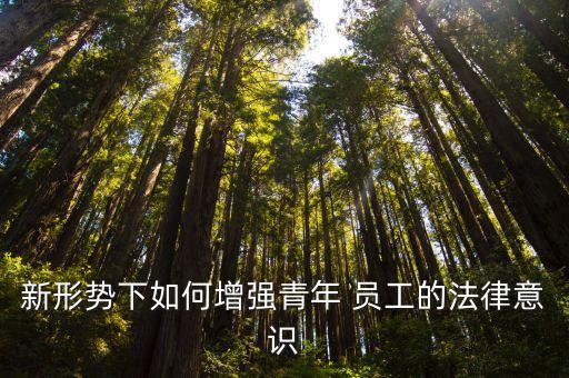 新形勢下如何增強青年 員工的法律意識