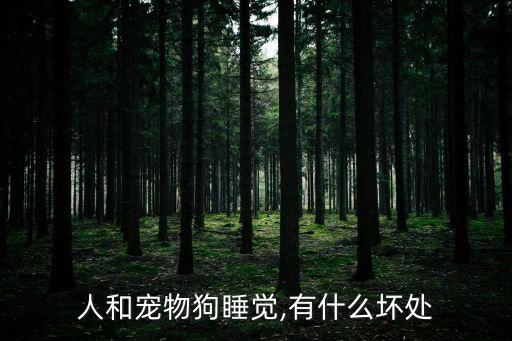 狗與人