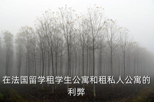在法國(guó)留學(xué)租學(xué)生公寓和租私人公寓的利弊