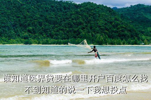 誰知道醫(yī)界貸要在哪里開戶百度怎么找不到知道的說一下我想投點