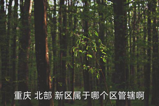 北部新區(qū)