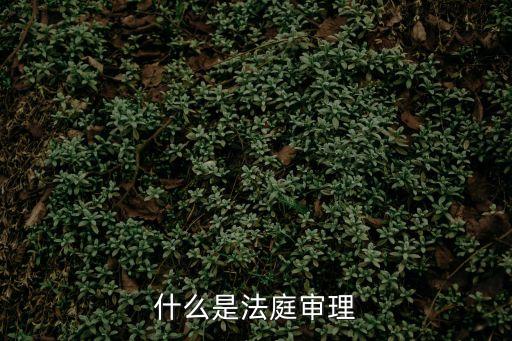 審理，*審理案件都什么流程啊