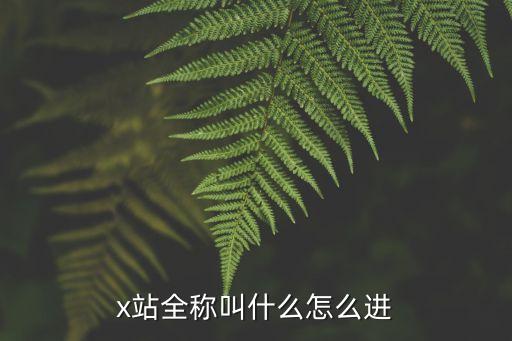 x站網(wǎng)址，xx網(wǎng)站都有什么推薦幾個