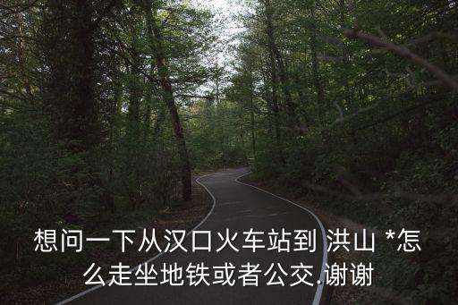 洪山*,湖北省洪山*
