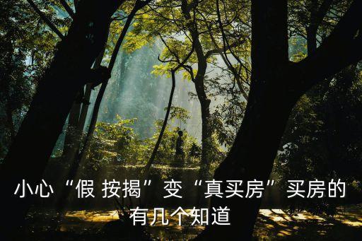 假按揭