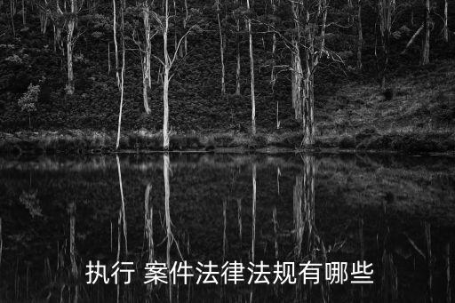 執(zhí)行案件