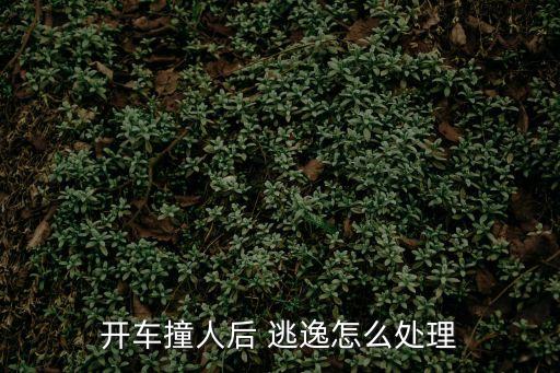 撞人逃逸怎么處罰,酒后開車撞人逃逸怎么處罰