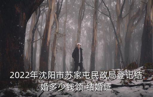 2022年沈陽市蘇家屯民政局登記結(jié)婚多少錢領(lǐng) 結(jié)婚證