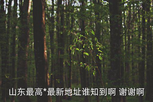 山東省高院，山東最高*最新地址誰(shuí)知到啊 謝謝啊