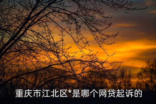  重慶市江北區(qū)*是哪個網(wǎng)貸起訴的