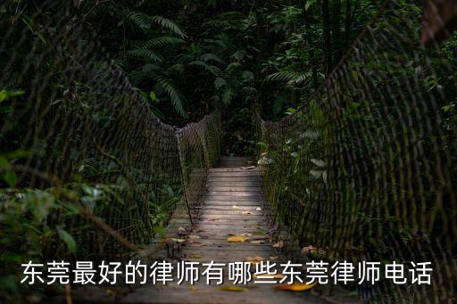 東莞最好的律師有哪些東莞律師電話