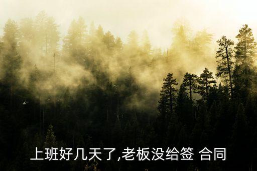 上班好幾天了,老板沒給簽 合同