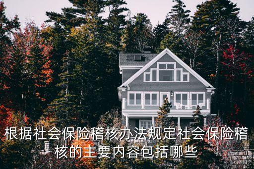 社會保險稽核辦法，社會保險稽核辦法有哪些內(nèi)容