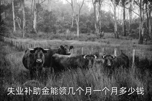 失業(yè)補貼，怎么領取失業(yè)補助金
