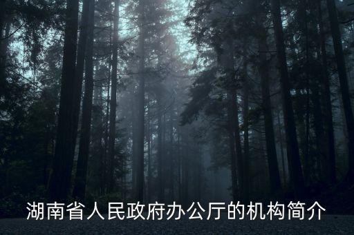 湖南省人民政府辦公廳的機構(gòu)簡介