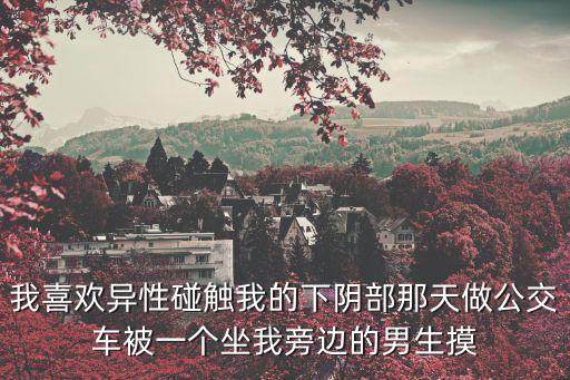 我喜歡異性碰觸我的下陰部那天做公交車被一個坐我旁邊的男生摸