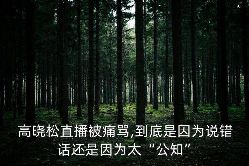 高曉松事件