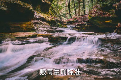 販毒量刑標(biāo)準(zhǔn)