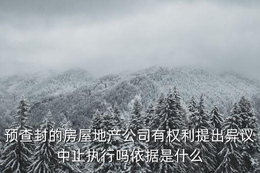 預(yù)查封的房屋地產(chǎn)公司有權(quán)利提出異議中止執(zhí)行嗎依據(jù)是什么