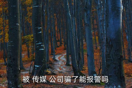 被傳媒公司騙了錢怎么追回,網(wǎng)上app*應(yīng)該找哪個(gè)部門