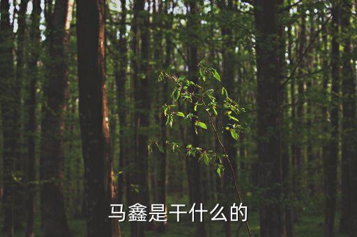 馬鑫，馬鑫是干什么的