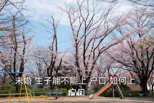 未婚 生子能不能上 戶口,如何上 戶口