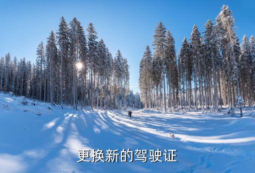更換新的駕駛證