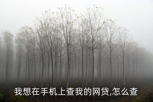 怎么查詢自己名下網(wǎng)貸,支付寶怎么查詢自己名下網(wǎng)貸