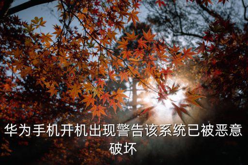 惡意破壞，手機(jī)顯示警告您的手機(jī)系統(tǒng)已被惡意破壞手機(jī)時不時會閃一下