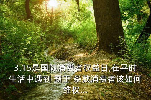 3.15是國際消費者權(quán)益日,在平時生活中遇到 霸王 條款消費者該如何維權(quán)...