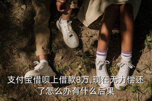 支付寶借唄上借款8萬(wàn),現(xiàn)在無(wú)力償還了怎么辦有什么后果