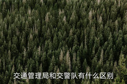 交通管理局和交警隊(duì)有什么區(qū)別