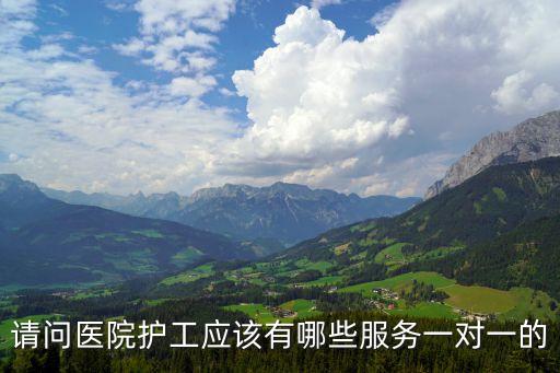 請(qǐng)問醫(yī)院護(hù)工應(yīng)該有哪些服務(wù)一對(duì)一的